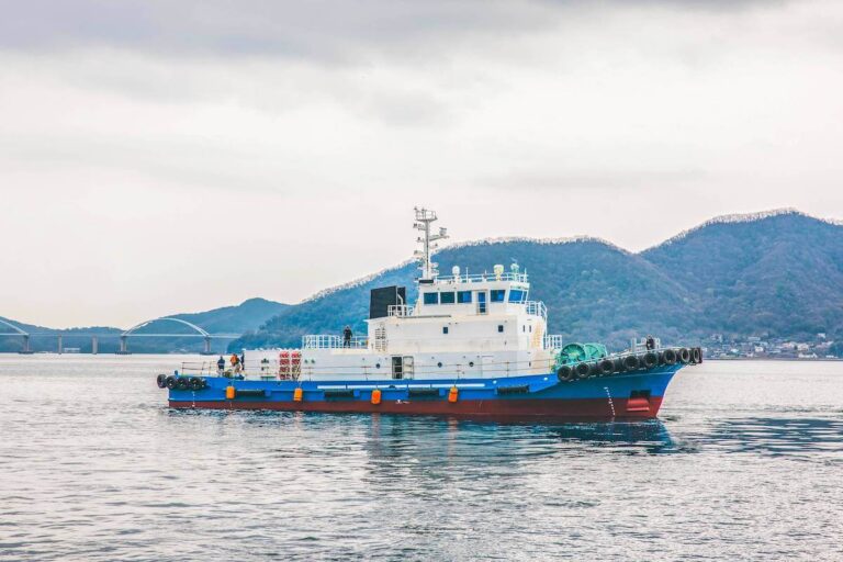 Tsuneishi Shipbuilding tug
